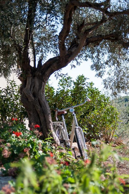 Alonissos Poikilma - Luxury In Alonissos In Nature With Private Pools Villa