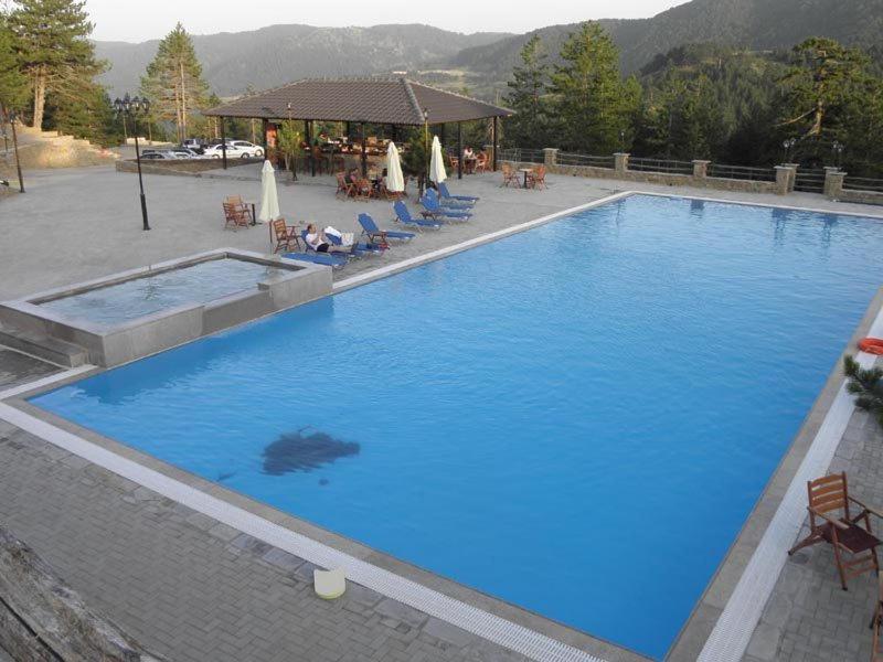Vasilitsa Hotel 4*