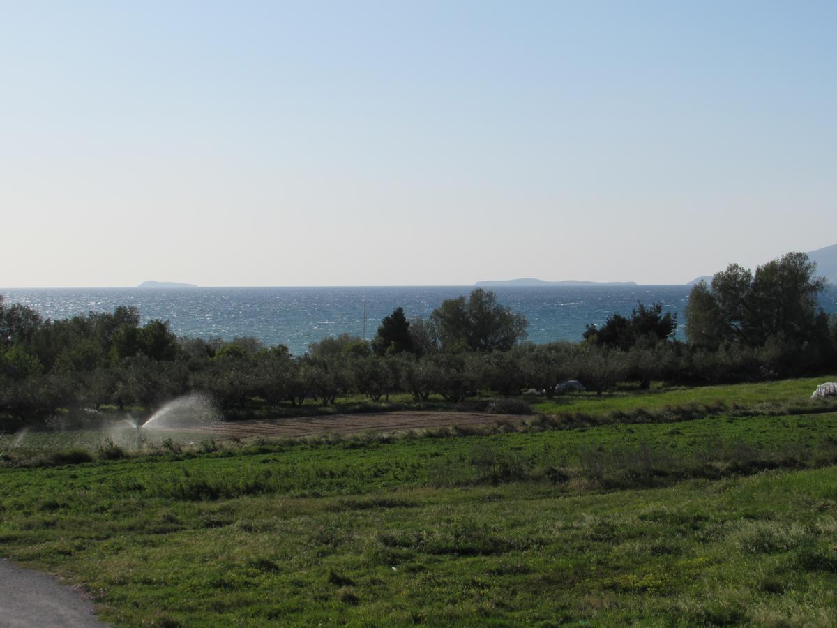 Aparthotel Luis Mastichari (Kos)