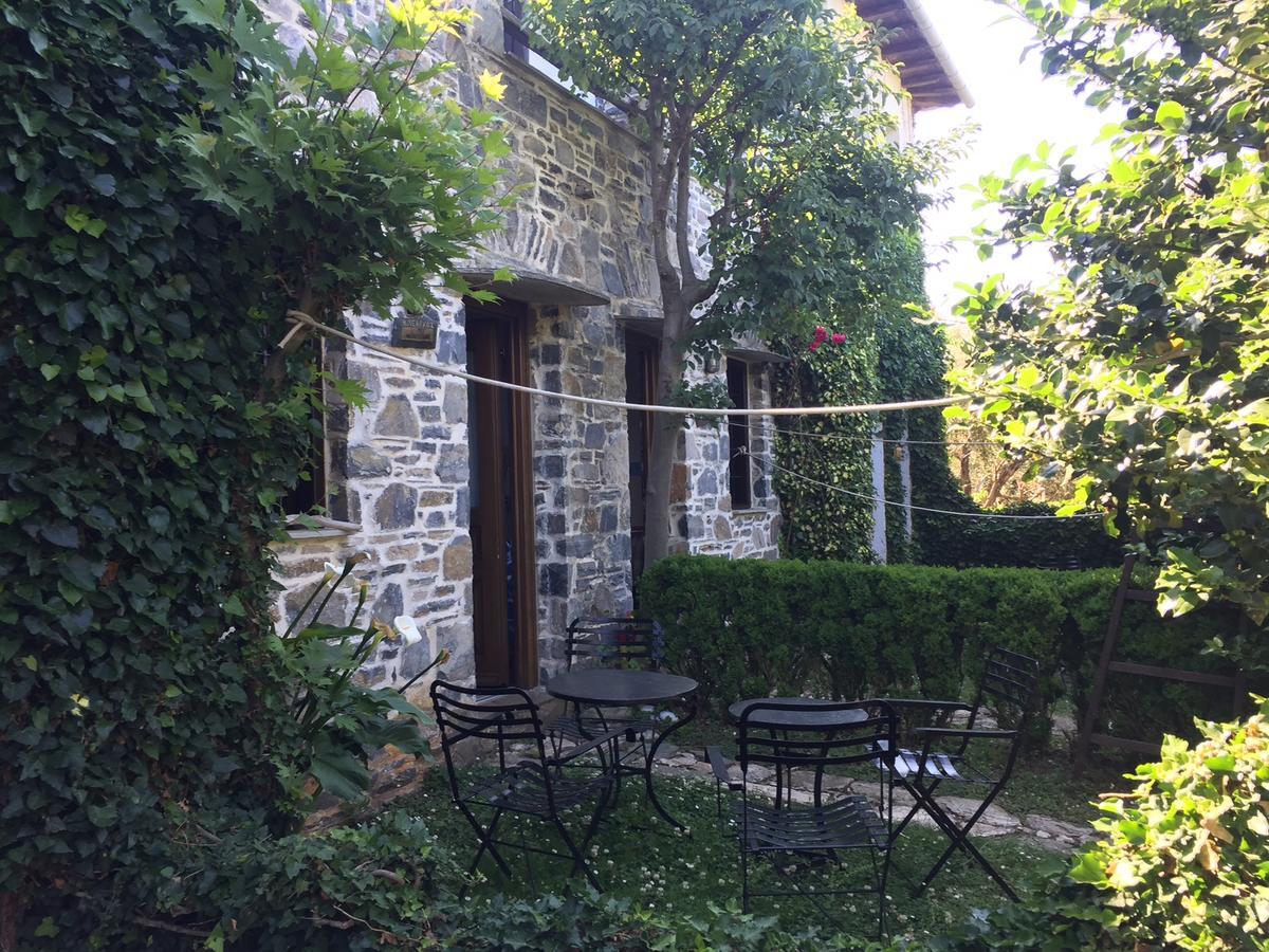 Hotel Damouchari Hotel *