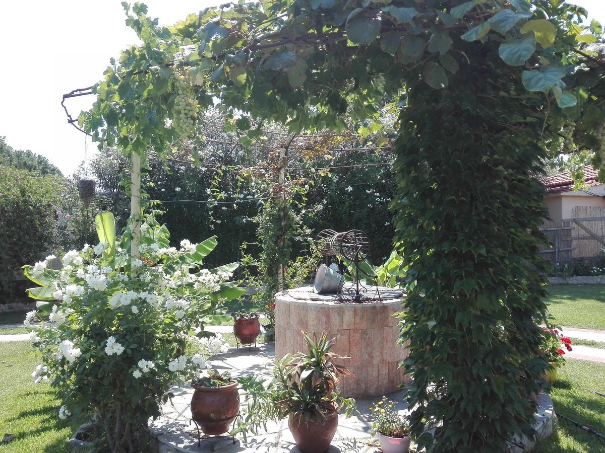 Roula Apartment Porto Koufo
