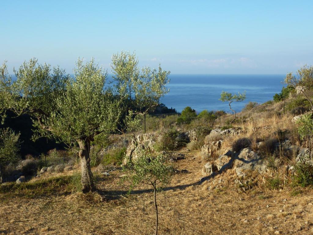 Trisilio Apartment Kardamyli