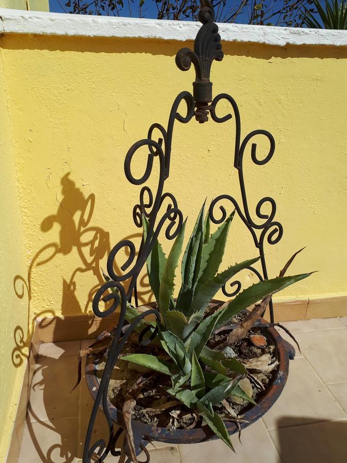 Chrysanthi Melitsa Apts. Holiday home *