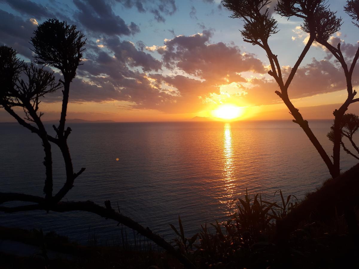 Chrysanthi Melitsa Apts. Sidari (Corfu)