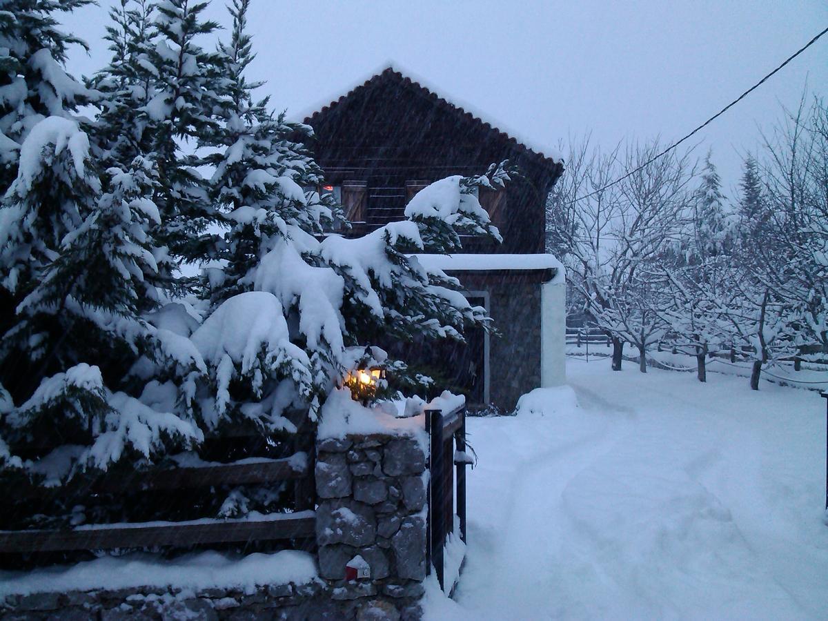 Holiday home Houses Arachova