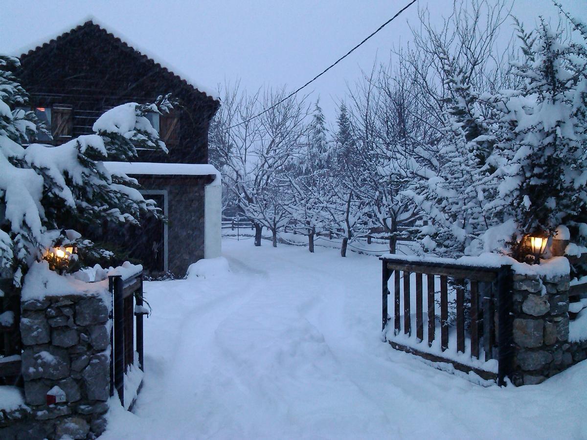 Holiday home Houses