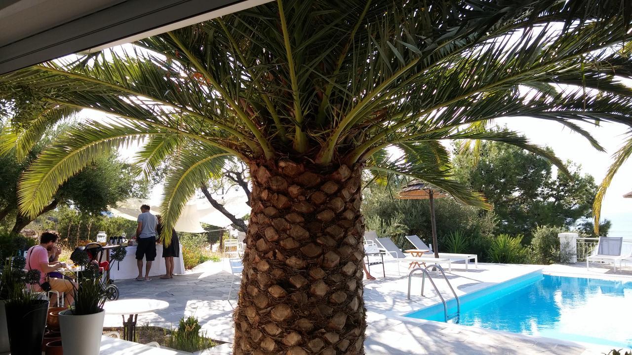 Apartment Anthemoessa Pythagoreio (Samos)