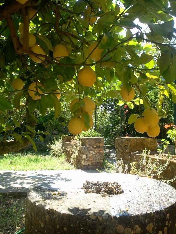 Guest house Gentilini Retreat *