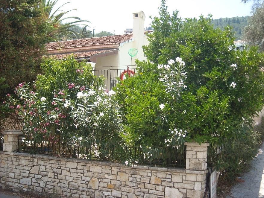 Jasmine And Lemonia Villa