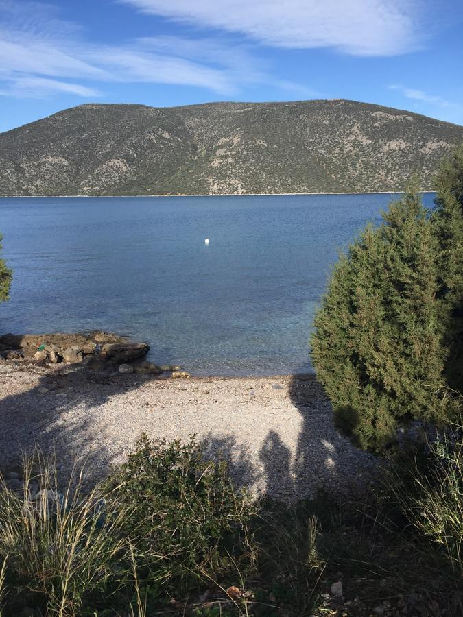 Skorponeria, Pool & Sea