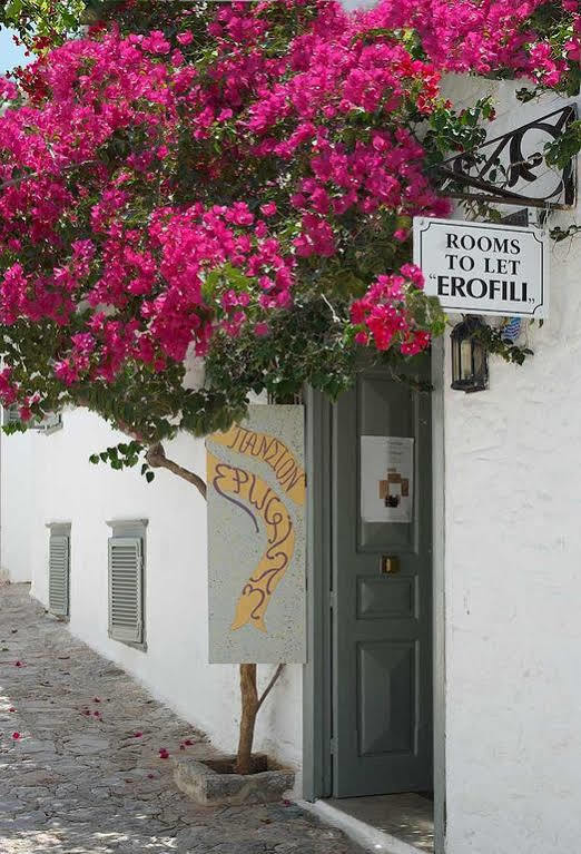 Guest house Erofili Hydra (Saronic Islands)