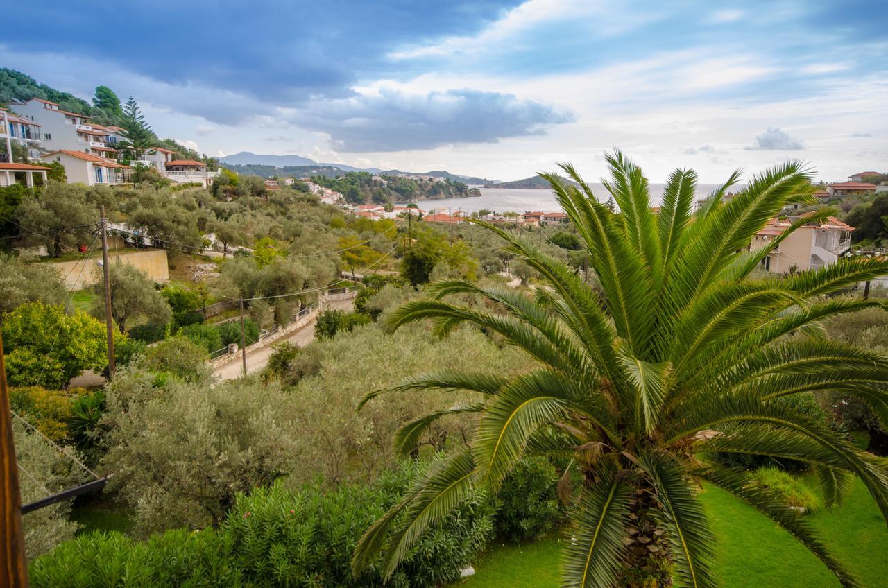 Olive Grove View Apartment