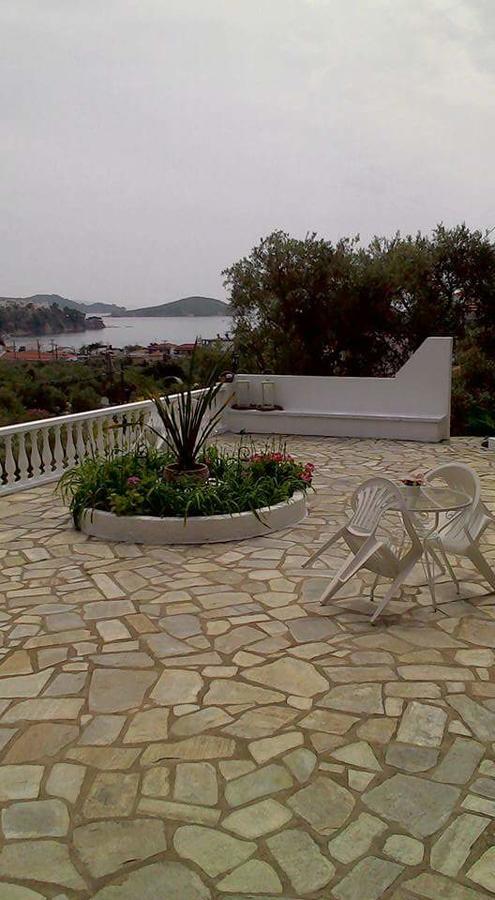 Olive Grove View Apartment