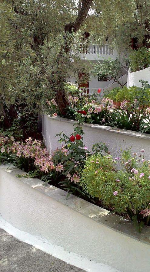 Olive Grove View Apartment Skiathos Town