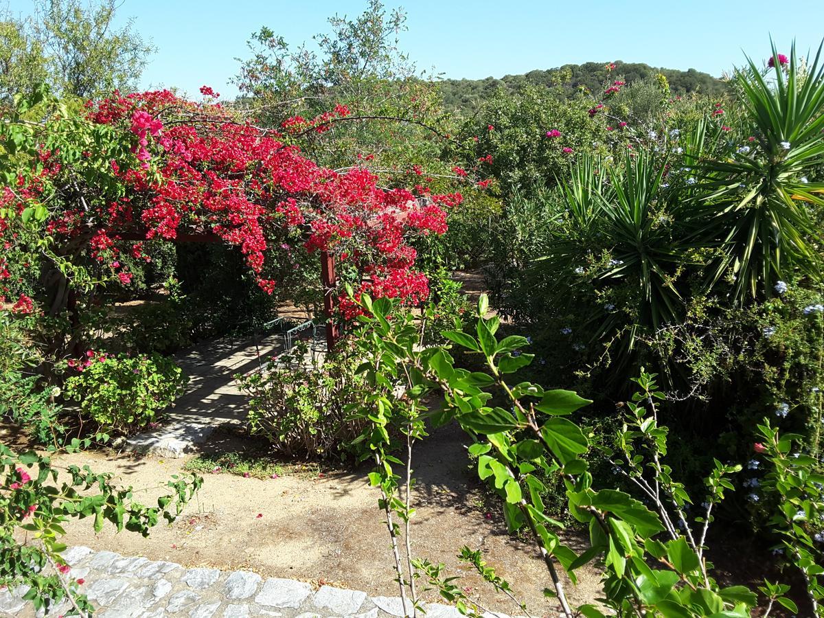 Elise Holiday home *