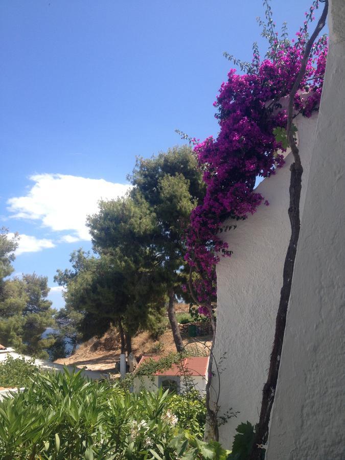 Rosys Little Village * Skala (Agistri)