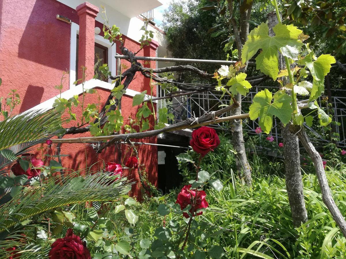 Madalenas Bed & Breakfast *