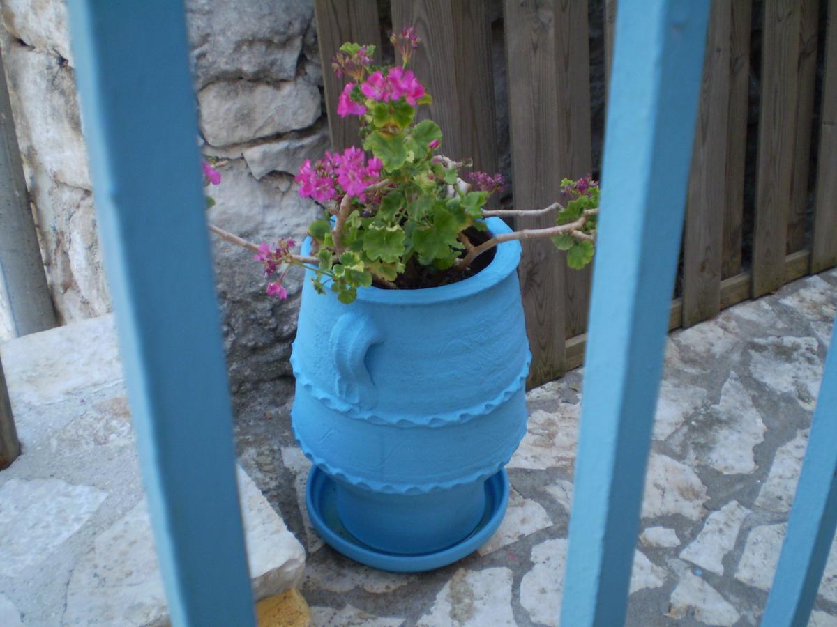 Guest house Eleni *
