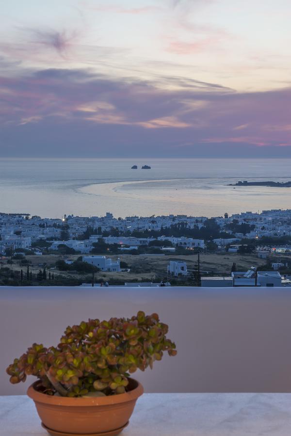 Apartment Panoramic View Studio