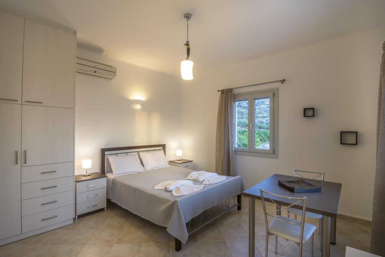 Panoramic View Studio