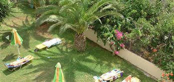 Theoni Malia (Crete)