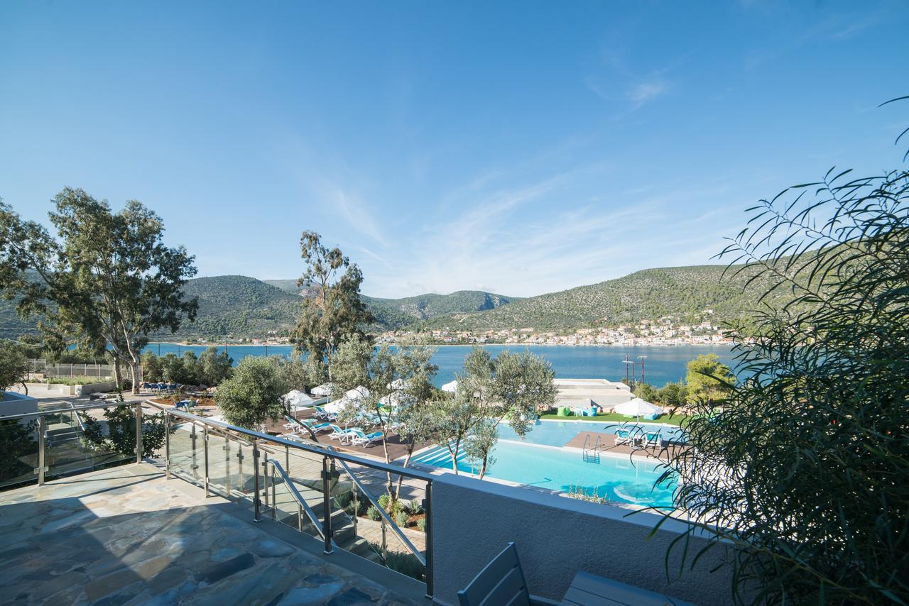 Lavender Cove