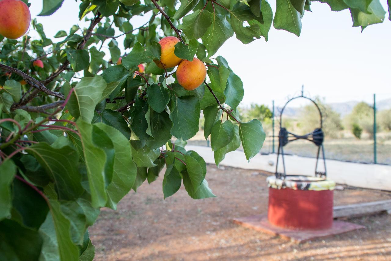 Ktima Anastasia Country house