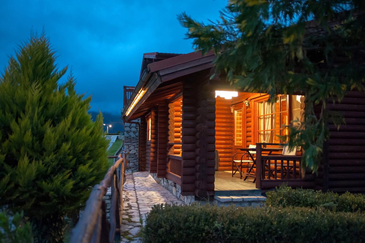 Chalet Xenios *