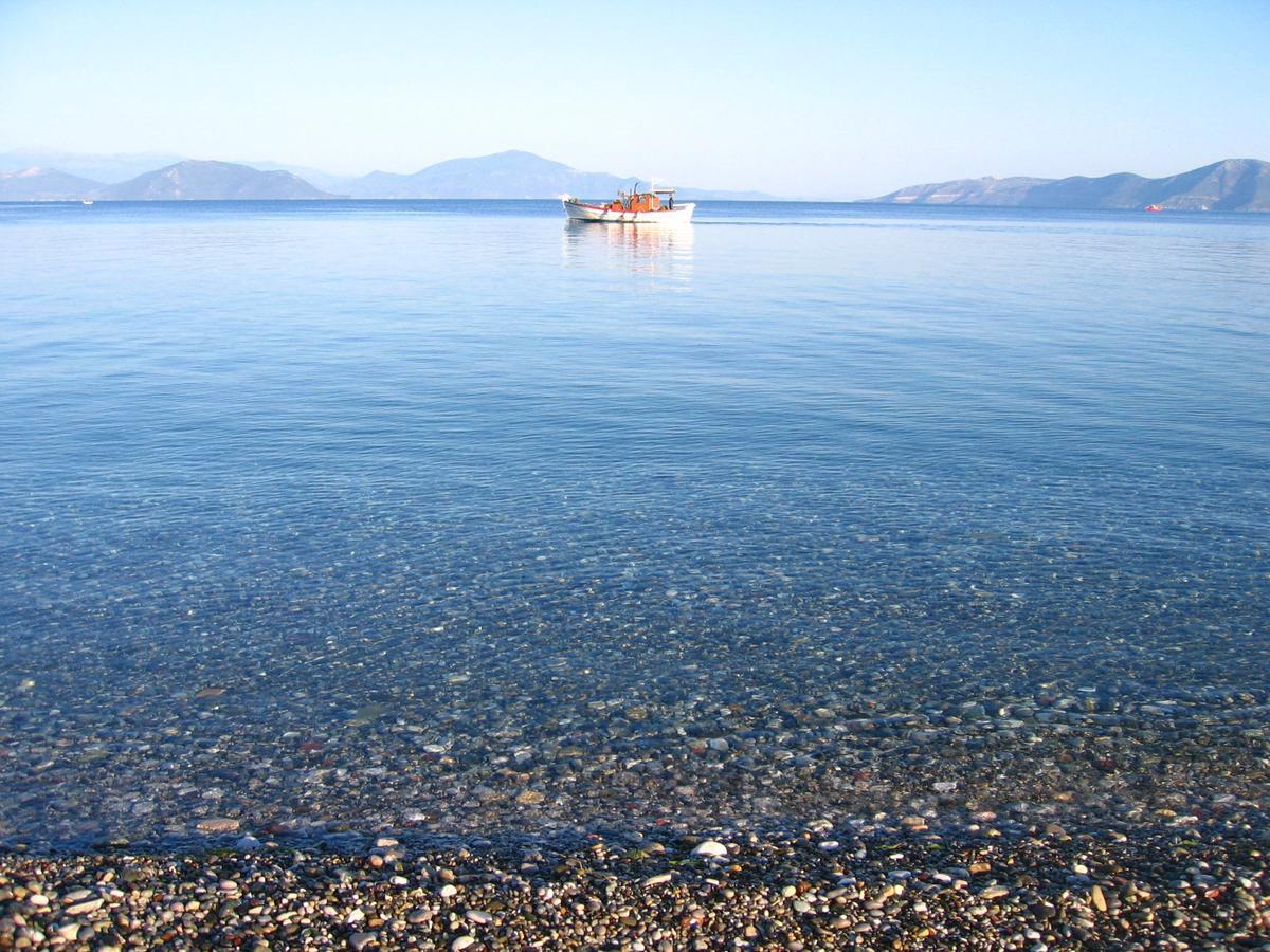 Island *