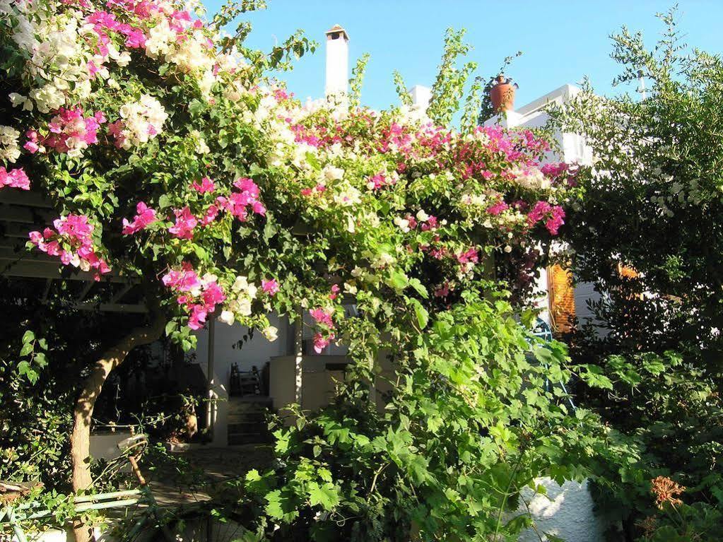 Chanioti Parikia (Paros)