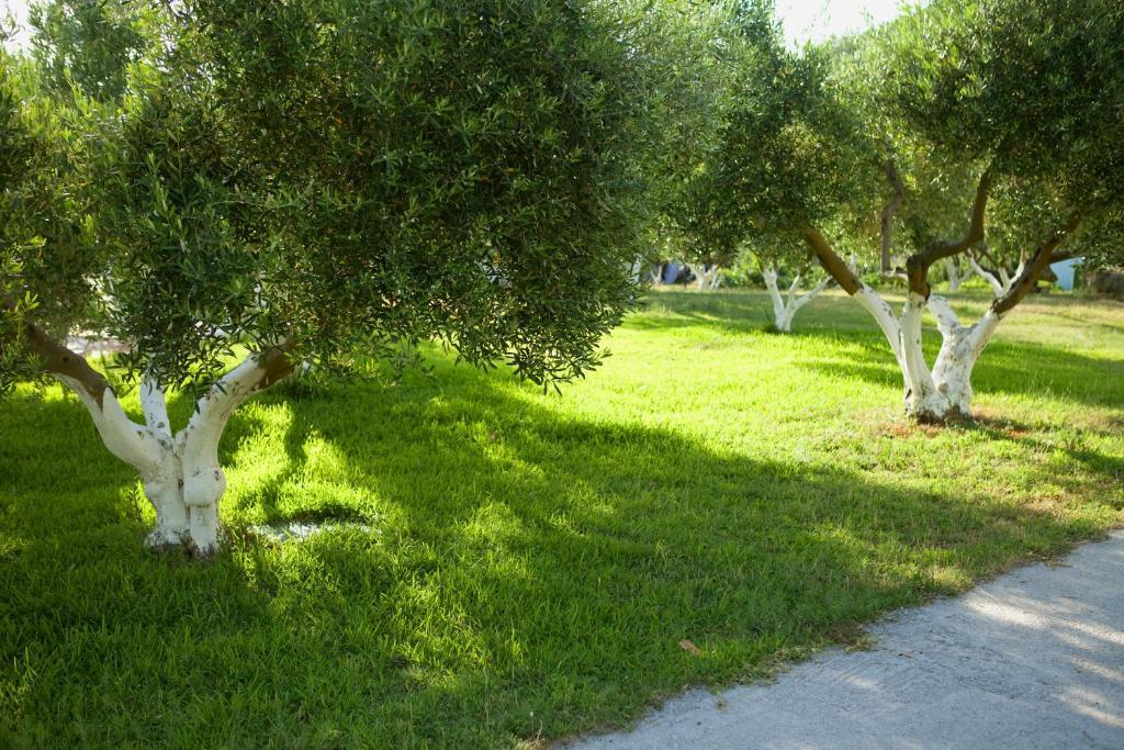 Haus Risos Next Generation Apartment Toroni
