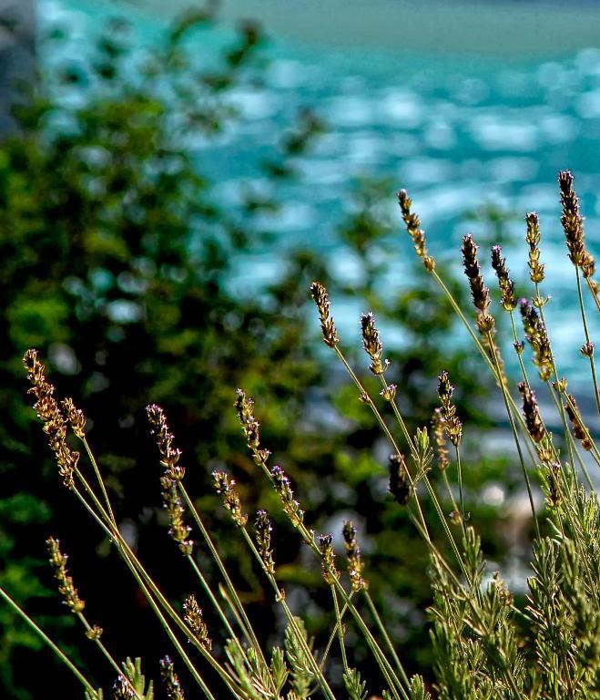 Olivemare Hotel Katelios