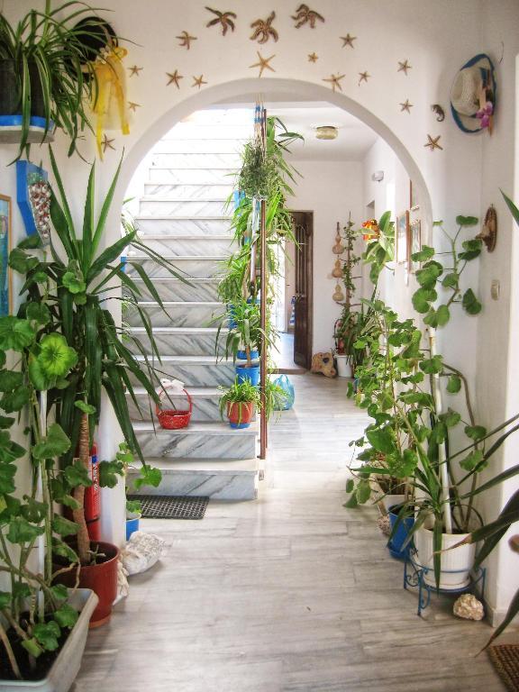 Augusta & Naousa (Paros)