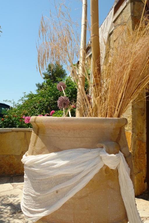 Olga Lounge Lygia (Lefkada)