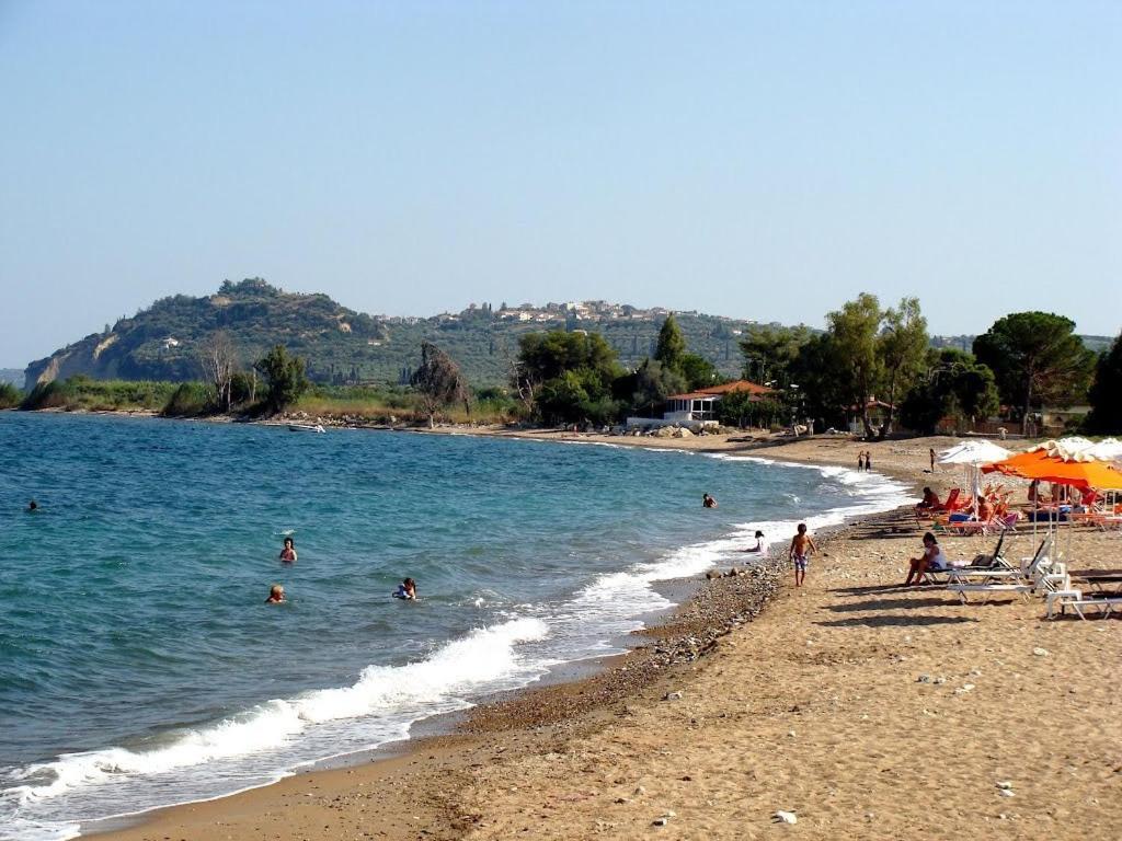 Kassimiotis Agios Andreas (Messenia)