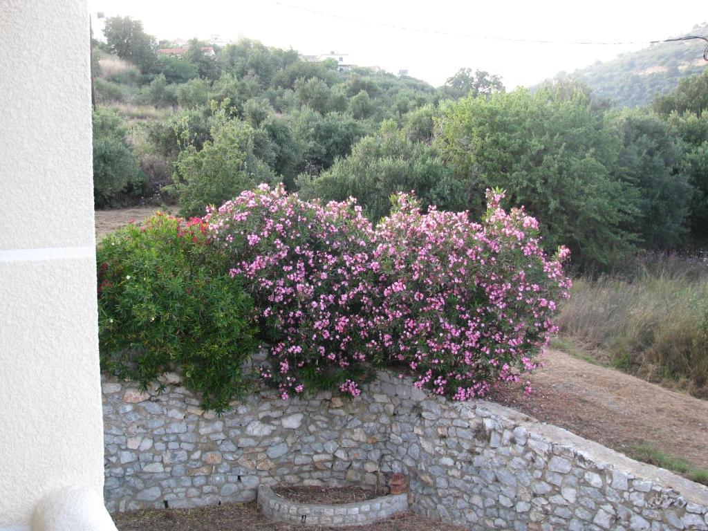 Skoutari Beach Skoutarion