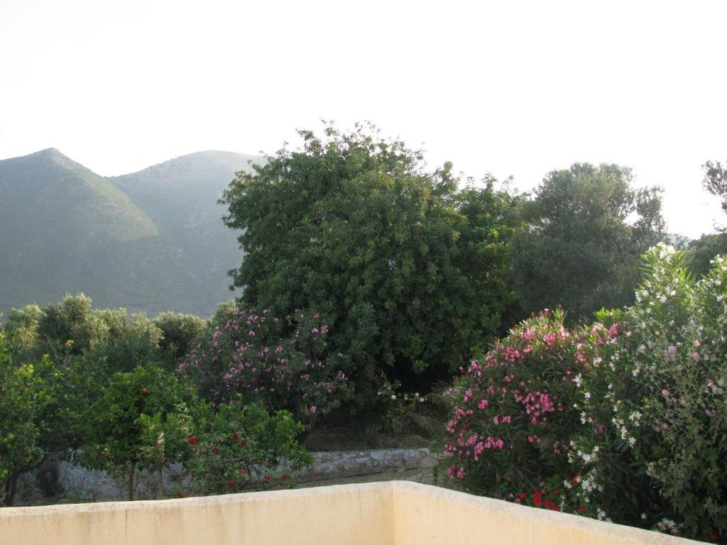Skoutari Beach 2* Skoutarion