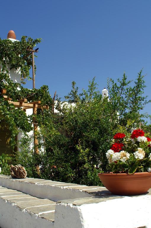 Guest house Agnanti Traditional