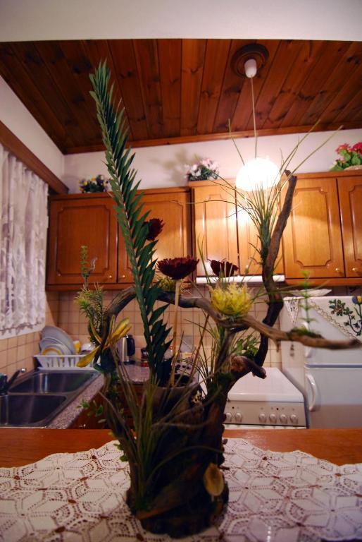 Apartment To Spiti Tis Pareas *