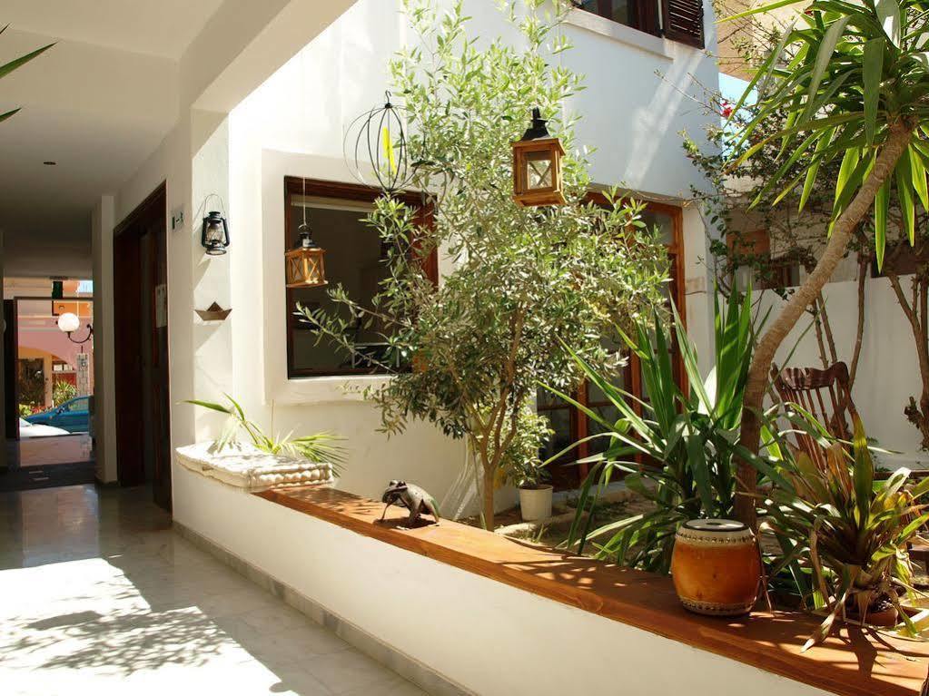 Tree Of Life Art Aparthotel Agia Marina (Crete)