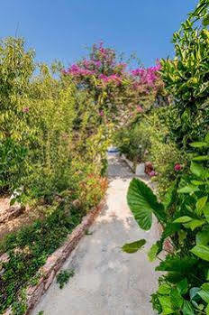 Guest house Alpha Stegna Sun 2*