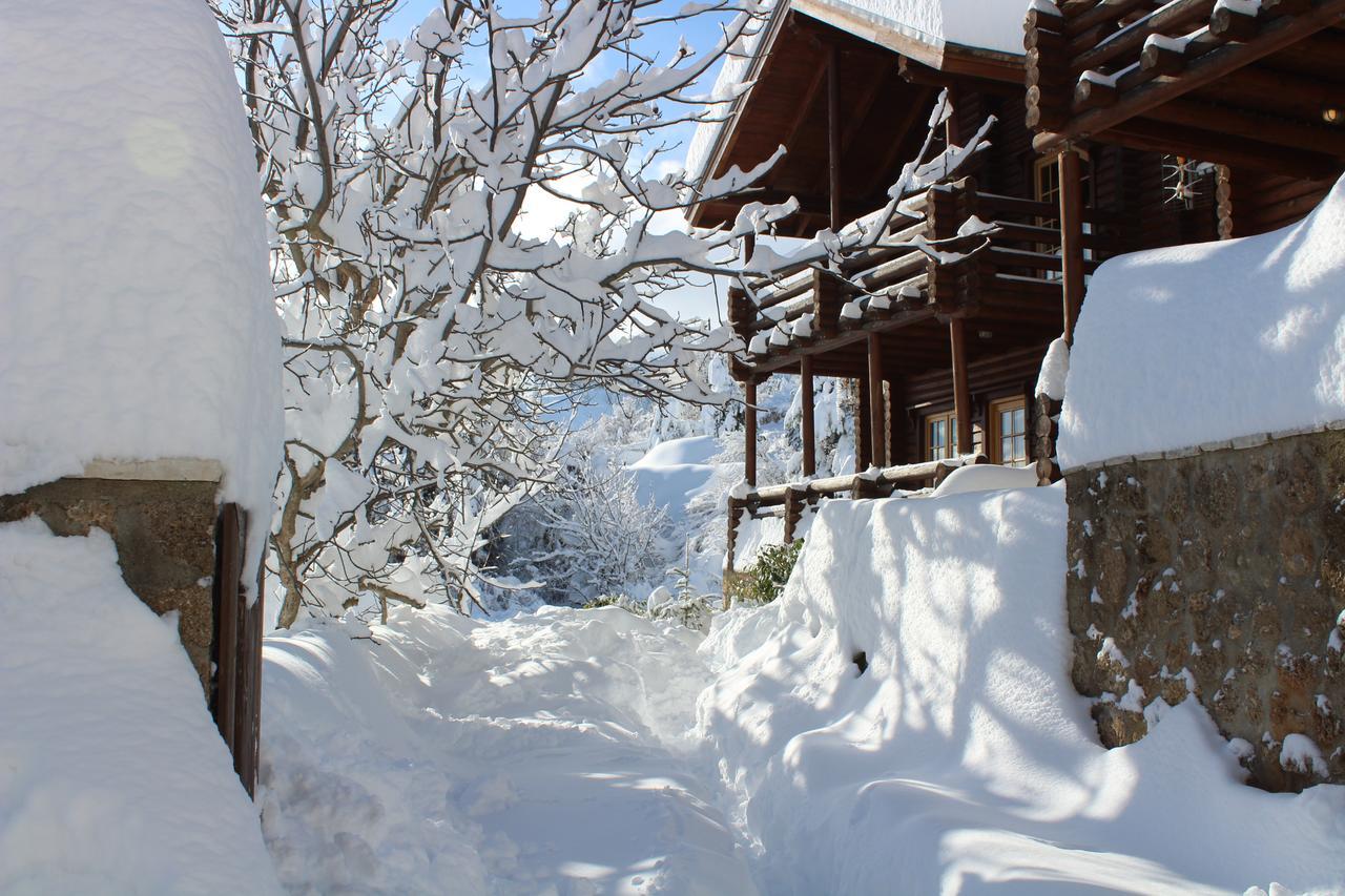 Paradise Chalet