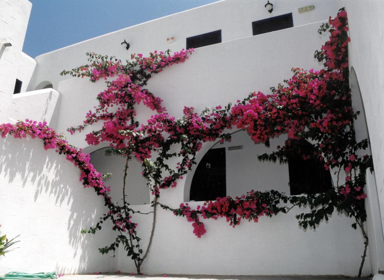 Hotel San Antonio Summer House