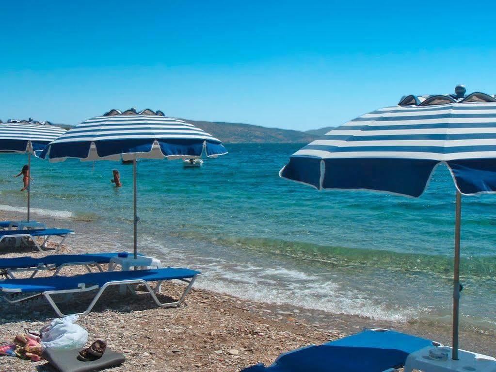 Venetia Hotel 2*
