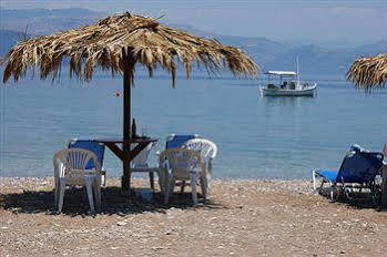 Harmony 4*