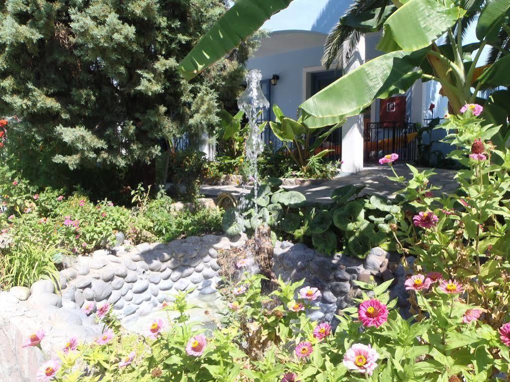 Aparthotel Blue Sky - - Lesvos - Greece