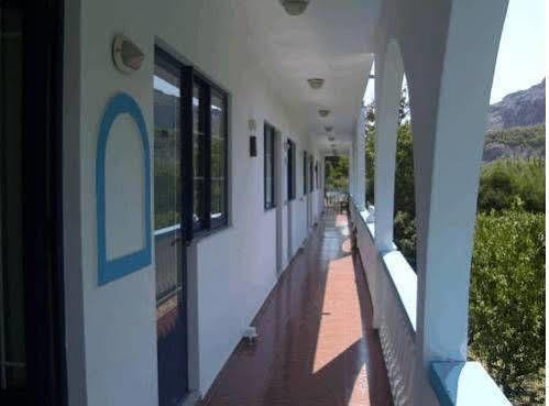 Afroditi Artemis Apartment Stegna