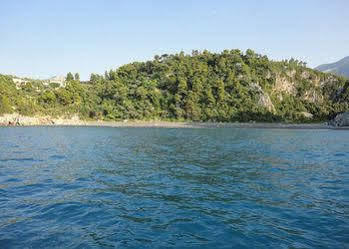Guest house Xenia & 3*