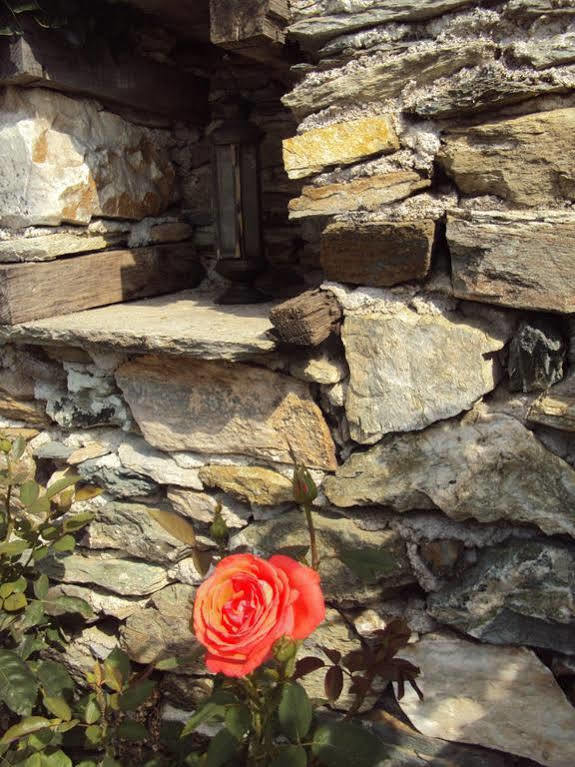 Country house Anna's