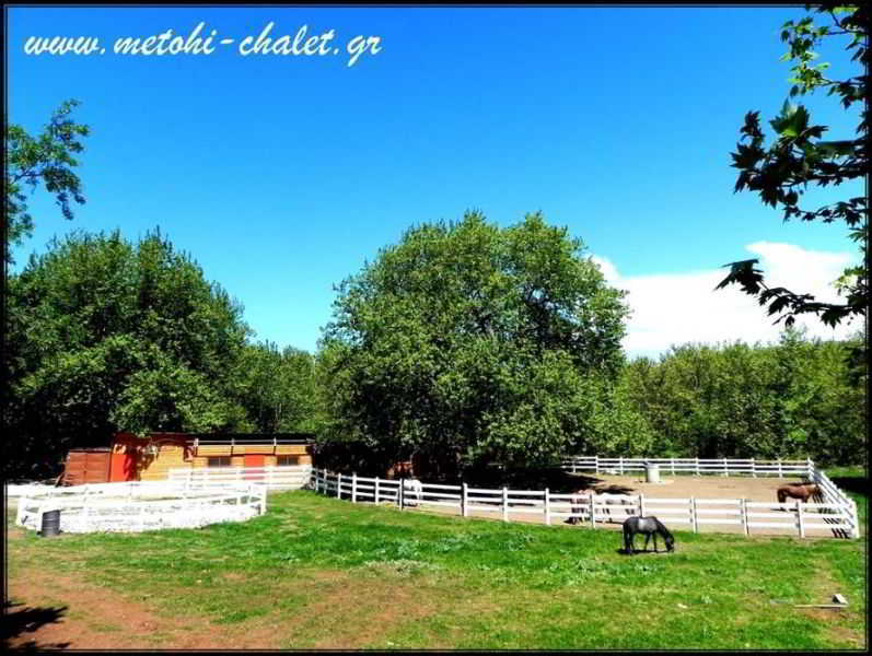 Chalet Metohi